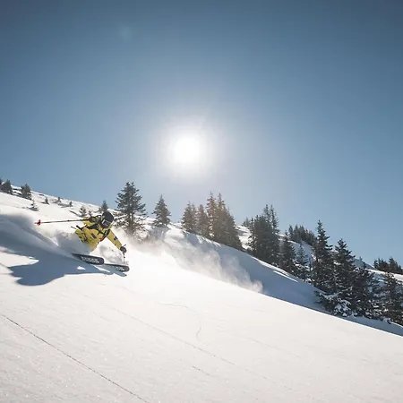 Wallehen By We Rent, Ski-in & Ski-out * Saalbach-Hinterglemm